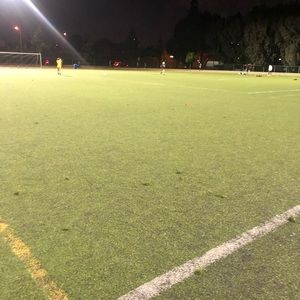 Meet your Posher, Alfonso